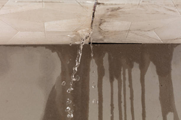 Professional Water Damage Inspection technician working in Manchester, TN